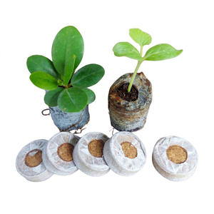 Wholesale Premium Low EC <b>Coir</b> Peat Pellets Natural Growing Medium for Professional Nurseries and Commercial Growers - Product Image 1