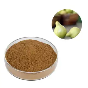 FST Biotec Organic Kakadu Plum Powder Extract Brown Yellow Powder Kakadu Plum Fruit Extract Vitmain