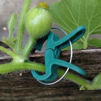 Pack personnalisé vert PP matériel horticole mur fixe Clips pour tomate fleur pot de jardin jardinière Clips pour la plantation