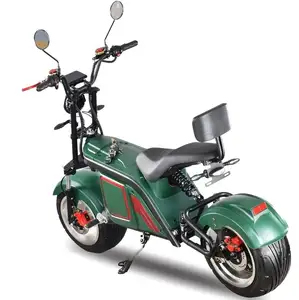 Новое поступление, Электрический скутер с толстыми шинами для взрослых EEC/COC, Электрический скутер Citycoco с ручкой Swift, Новинка