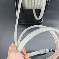 Bande lumineuse LED fluorescente haute tension 230V, 180 LED/m, bande lumineuse qui brille dans le noir, bande LED étanche IP65 pour couloirs et garages