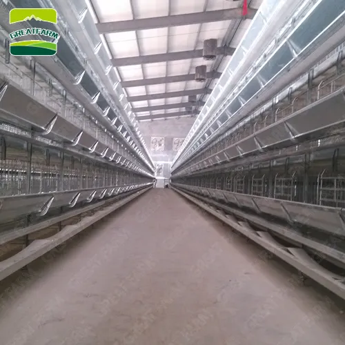 2022 Popular H type layer cage chicken poultry cage for automatic feeding and drinking system for chicken farms in China