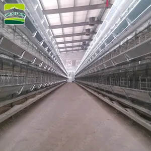 Jaula de tipo H para aves de corral, sistema de alimentación y bebidas automática para granjas de pollos, Popular, 2022