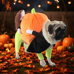 Disfraz de Calabaza para Perro, Traje Lindo de Otoño para Halloween, Naranja, Tallas XS, M, L, XL - Product Image 2