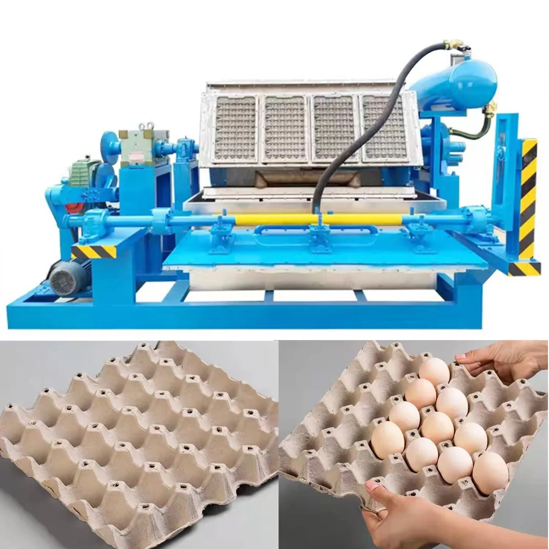 Línea de producción automática de bandeja de huevos de pulpa de papel, máquina pequeña de reciclaje de papel usado