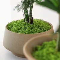 Gazon artificiel en mousse écologique, tissu polyester léger, arrangement micro-paysager, tapis de mousse verte artificielle