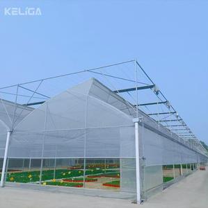 Invernadero de cresta y <span class=keywords><strong>surcos</strong></span> con techo de ventilación para un control óptimo del clima - Product Image 2