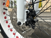 Livraison gratuite dans l'UE, entrepôt en Pologne, vélo électrique pour femme 48V750W, 20 pouces, pneus gras tout-terrain, vélo électrique pliable de plage, batterie au lithium 20Ah