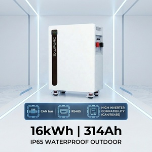 Floor <b>Mounted</b> Type 16kWh 51.2V 314Ah LiFePO4 <b>Battery</b> IP65 Outdoor Solar Storage System High Compatibility Smart BMS - Product Image 1