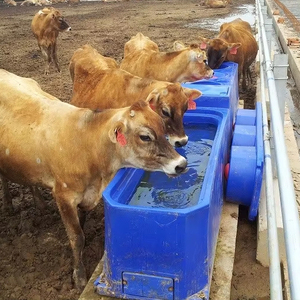 Scaldabagno per bestiame, Serbatoio d'acqua calda, <span class=keywords><strong>Abbeveratoio</strong></span> per cavalli - Product Image 1