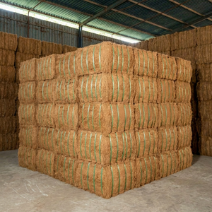 Fibra de Coco Dorada de Primera Calidad al por Mayor, Longitud de 5-25 cm, 3% de Impurezas, Relleno Limpio para Colchones, 100 kg/bala CF01 - Product Image 1