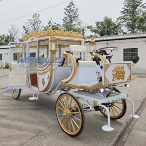 Carroza Real Eléctrica para Turismo, Autobús de Transporte de Pasajeros, Vehículo de Recepción de Pasajeros Q235B de Acero, 5-6 Plazas, 24 Meses - Product Image 3