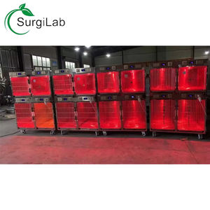 <span class=keywords><strong>Veterinar</strong></span> Medical Jaula de Oxígeno de Acero Inoxidable para Mascotas, Jaulas para Perros, Jaula Doble para Mascotas, Hospital, Clínica Veterinaria - Product Image 4