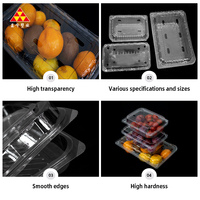 Barquette en PET pour fruits et légumes frais, taille personnalisée, fabrication OEM ODM, boîte d'emballage transparente pour tomates