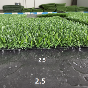 Césped <span class=keywords><strong>Artificial</strong></span> para Deportes, Alfombra de Césped Sintético para Gimnasio - Product Image 1