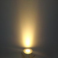 IP68 3W LED-Schwimmbadbeleuchtung mit PC/Aluminium-Lampengehäuse für Garten- und Landschafts-Terrassenbeleuchtung