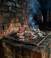 Charbon de coco supérieur offrant une énergie thermique élevée, des impuretés réduites et une combustion stable pour les marchés industriels et d'exportation.