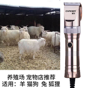 Cortadora de Pelo para Mascotas Chaorer, 12V, Aleación de Aluminio, Alta Potencia, Herramienta de Peluquería Canina - Product Image 3