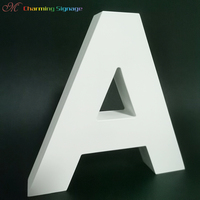 Enseigne LED d'extérieur avec logo personnalisé Lettre en acrylique 3D avec lumière au néon Texte non lumineux Signalisation publicitaire pour voitures et parcs