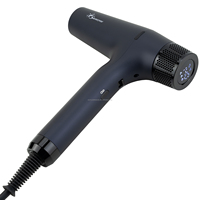 Secador de Pelo Profesional de 2300W de Marca Privada, Fabricante OEM ODM con Certificación BSCI y CE, Motor BLDC de 110000 RPM, MOQ 500