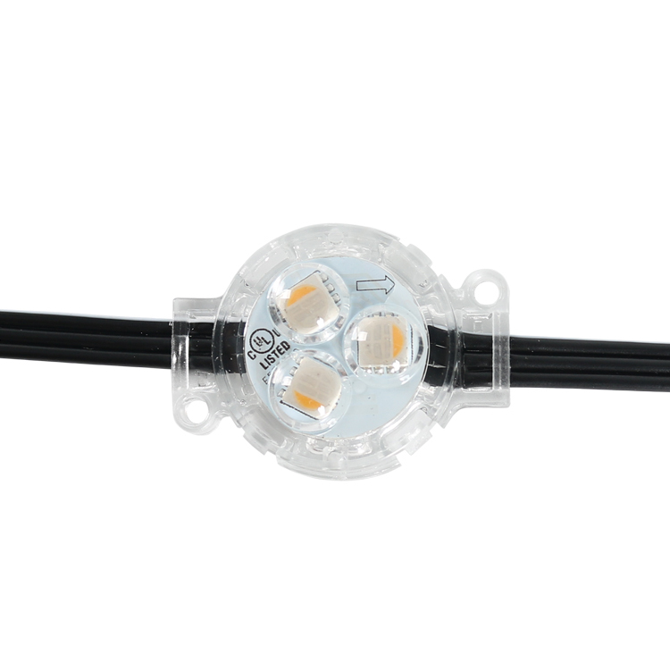 SHIJI Outdoor 30mm DC24V RGB Permanent Christmas LED Pixel Point Light Source Programmable Landscape White
