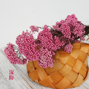 Flor de arroz artificial de alta calidad, flor de arroz <span class=keywords><strong>real</strong></span> conservada, China - Product Image 5