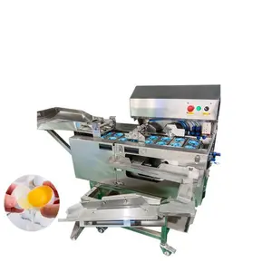 Automatic egg breaking machine egg separator egg white and yellow separating machine