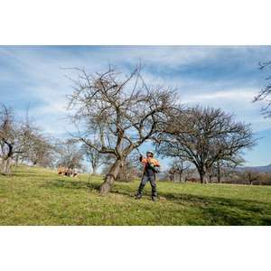 METABO - 601727850 MA-MS 25 - 18V Sécateur à perche-EAN 4061792229518 JARDINAGE AUTRES OUTILS DE JARDINAGE - Product Image 3