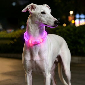 ปลอกคอสุนัขเรืองแสง LED ชาร์จ USB-C ปรับขนาดได้ ปลอกคอเพื่อความปลอดภัยยามค่ำคืนสำหรับสุนัขพันธุ์เล็กและใหญ่ - Product Image 5