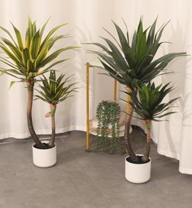 Plantas Artificiales JWS4084, Impermeables y Ecológicas, <span class=keywords><strong>Agave</strong></span> de Doble Cabeza, Bonsái para Decoración de Interiores/Exteriores, Bodas y Fiestas - Product Image 1