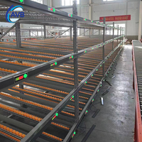 Sistema de Procesamiento de Pedidos de Alta Precisión con Tecnología Pick-to-Light para Clasificación y Manipulación en Almacenes