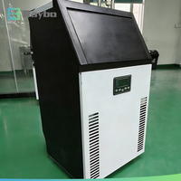 Machine à glaçons commerciale RAYBO en gros, 90 kg/24h, compresseur de glaçons haute précision