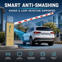 Barrière de stationnement automobile personnalisée avec bras de 6 m, capteur radar anti-effraction, système de contrôle de trafic pour péage autoroutier