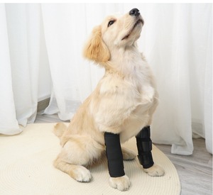 Soporte Auxiliar para Patas <span class=keywords><strong>de</strong></span> Perros Mayores, Envoltura para Patas Caninas, Protector <span class=keywords><strong>de</strong></span> Patas Delanteras para Perros, Soporte para Codos <span class=keywords><strong>de</strong></span> Perros, Estabilizador <span class=keywords><strong>de</strong></span> Articulaciones - Product Image 6
