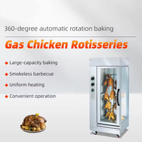 Rôtissoire à poulet verticale professionnelle au gaz, four à poulet rôti au gaz, gril à canard rôti