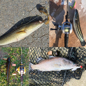 JOHNCOO – leurres <span class=keywords><strong>de</strong></span> pêche souples en TPR, appâts <span class=keywords><strong>de</strong></span> mer flottants, pour truite, <span class=keywords><strong>dorade</strong></span>, Swimbait, 60mm, 2.3g, 6 pièces - Product Image 6