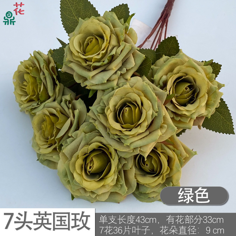 7 Rose britannique DG Vert