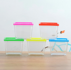 Mini petites méduses tasse transparente Pour Animaux de compagnie boîte à insectes poisson rouge tortue réservoir - Product Image 1