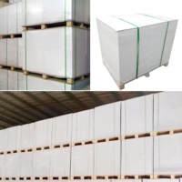 Papier Bristol/FBB/C1S, rouleau de carton blanc, pâte de bois vierge, carton pliable jetable pour l'emballage de vêtements, de boissons, d'aliments et de colis postaux