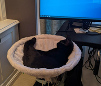 Lit de bureau pour chat Tissu en fausse fourrure douce Cadre en acier Étagère réglable pour chat Hamac d'intérieur pour votre bureau