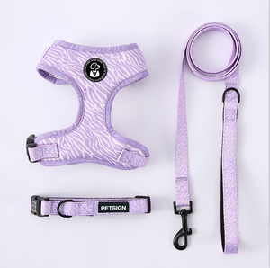 Arnés, Correa y Collar para Perros y Gatos con Diseño Personalizado, Ajustable, Transpirable, con Bandana, Conjunto de Arnés para Mascotas - Product Image 3