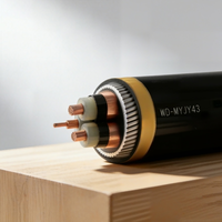 Câble minier industriel blindé WD-MYJY WD-MYJY43 en cuivre isolé XLPE, faible émission de fumée, sans halogène, pour l'alimentation des mines souterraines