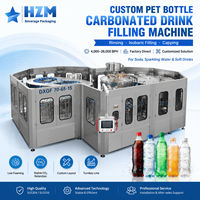 Ligne de production de remplissage de boissons gazeuses 8000 BPH avec rinçage, remplissage et capsulage rotatifs à contre-pression pour bouteilles PET ou en verre