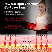 Ceinture de luminothérapie Ideatherapy Wearable série TLB105/120 à haute intensité, certifiée UL, pour thérapie par la lumière rouge