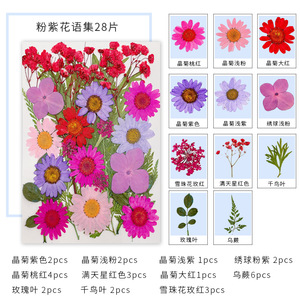 28pcs DIY Nhựa thủ công ép hoa Kit cho nến làm iPhone trường hợp thiên nhiên lá nghệ thuật Nguồn cung cấp - Product Image 4