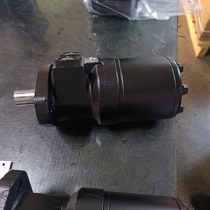 Lainuo Haute Qualité TG TE TF TH BG Série TE0100MW260AAAB Moteur Hydraulique Orbital à Couple Élevé Moteur Orbite Grand Radail Force - Product Image 3