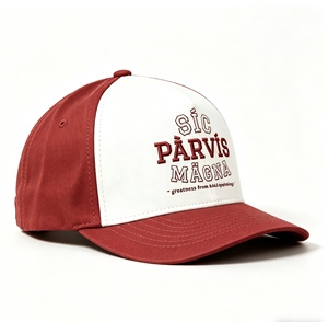 Gorra de Béisbol Bordada Personalizada, Estilo Hip Hop, Talla Ajustable, Gorras de Alta Calidad de Marca - Product Image 2