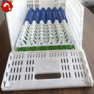 <span class=keywords><strong>ลัง</strong></span>ขนส่งอเนกประสงค์แบบพับได้ 360 ชิ้น ดีไซน์ประหยัดพื้นที่สำหรับการส่งคืนแบบเปล่า รองรับถาดไข่มาตรฐานสำหรับฟาร์มสัตว์ปีก - Product Image 2