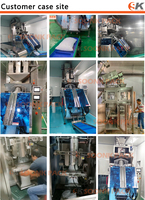 Machine de remplissage, pesage et emballage entièrement automatique pour glace pilée en flocons verticaux, blocs de glace, tubes et sacs de glace en cubes