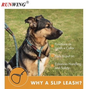 Durable Eco-Friendly 6-Foot Solid Pattern Polyester <strong>Dog</strong> <strong>Slip</strong> Rope Leash Simple Style Mountain Climbing <strong>Lead</strong> - Product Image 3